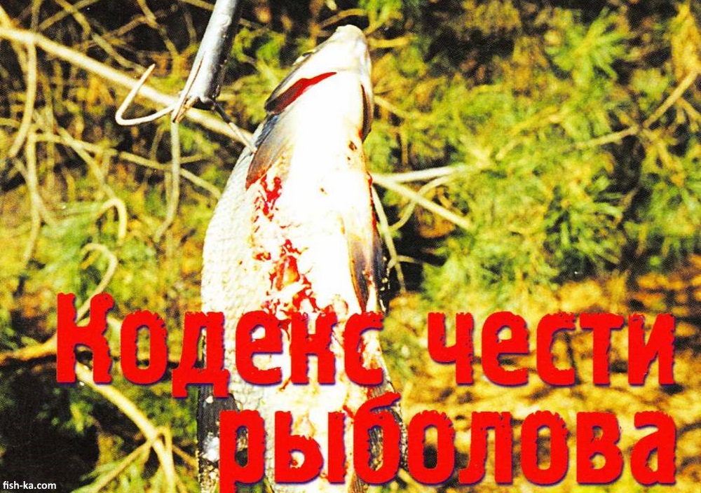 Браконьерство